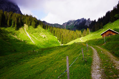 Scenic view of green landscape against sky