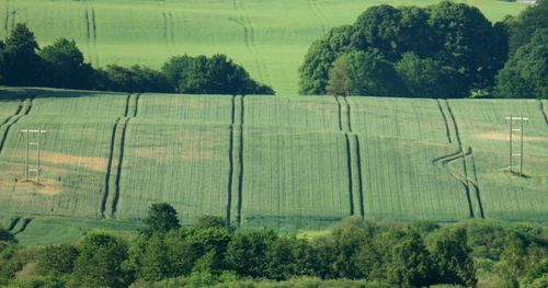 Scenic view of field