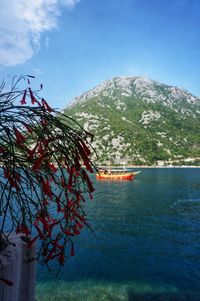 Scenic view of sea against blue sky