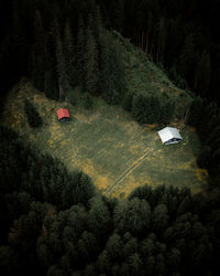 High angle view of people walking in forest