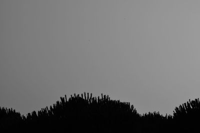 Low angle view of silhouette trees against clear sky