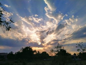 Low angle view of silhouette trees against sky during sunset
