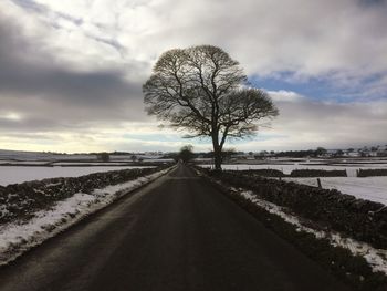 Road amidst bare trees on field during winter