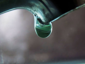 Close-up of water drops on pipe