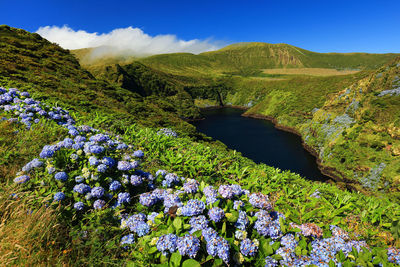 Scenic view of blue and mountains against sky