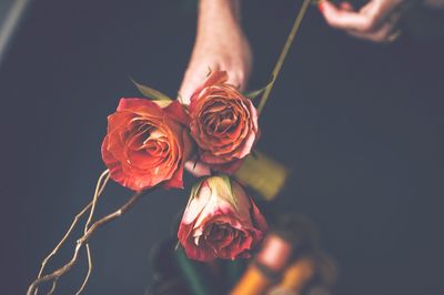 Close-up of hand holding rose bouquet