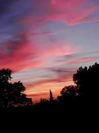 Silhouette of trees at sunset