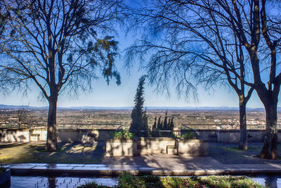 Bare trees by city against sky