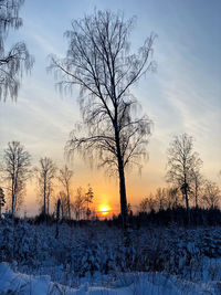 Bare trees on snow covered field against sky during sunset