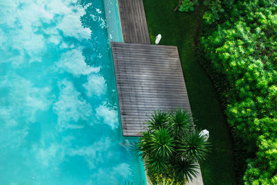 Low angle view of palm tree against sky