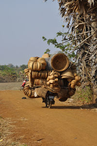 Rear view of merchant transporting baskets