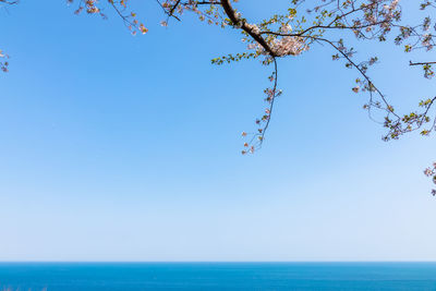 Low angle view of blue sea against clear sky