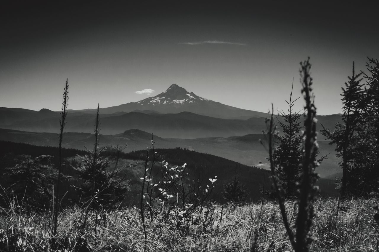 Loft Haven Photography