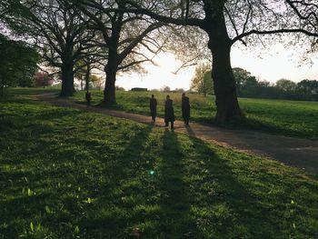 People walking in park