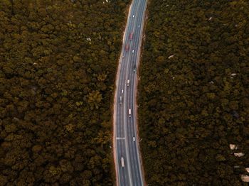 Aerial view of road amidst trees