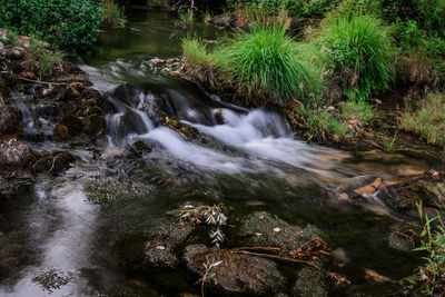 Scenic view of waterfall in forest