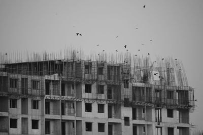 Low angle view of birds flying against sky