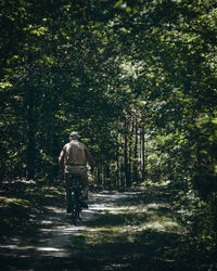 Rear view of man riding bicycle