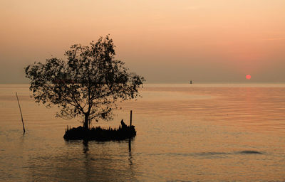 Silhouette tree by sea against sky during sunset