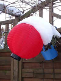 Close-up of red decoration hanging on tree