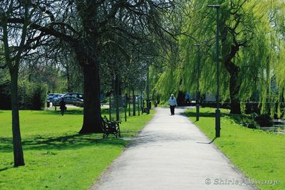 Pathway along trees in park