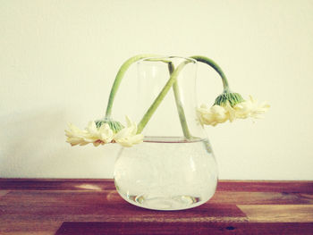 Wilted flowers in vase