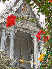 Low angle view of red flowering plant against building