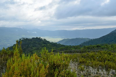 Scenic view of trees and mountains against sky