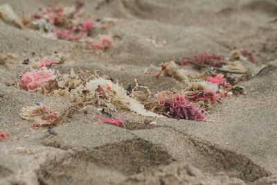 Close-up of sand at beach