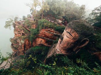 Damaged tree against sky
