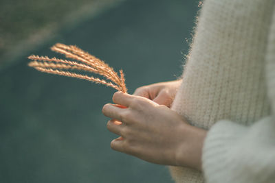 Midsection of woman holding twig