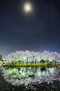 Scenic view of lake against sky at night