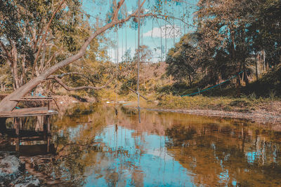 Reflection of trees in lake during autumn