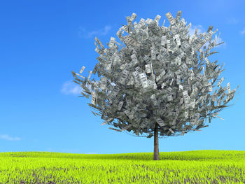 Tree on field against blue sky