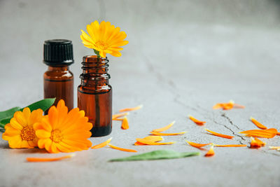 Close-up of orange flower on table