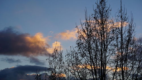 Low angle view of silhouette tree against sky