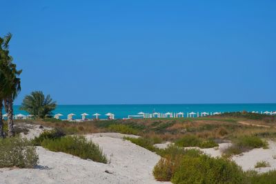 Scenic view of beach against clear blue sky