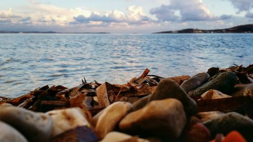 Scenic view of calm sea against cloudy sky