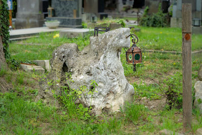 Old stone wall on field