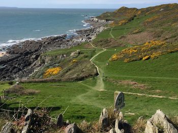 Scenic view of sea by agricultural landscape
