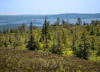 Scenic view of land against sky