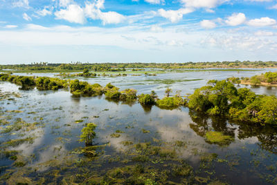 Top view of lake with tropical vegetation in kumana national park. sri lanka.