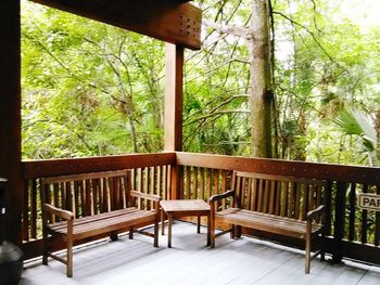 Chairs and table against trees