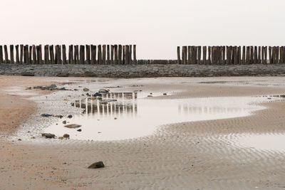 Wooden posts on beach against clear sky