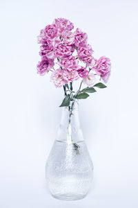 Close-up of pink flower vase against white background