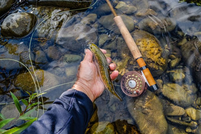 Cropped hand holding fish at riverbank