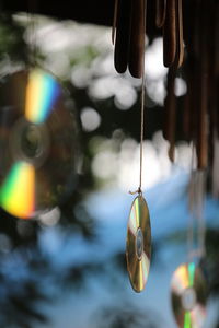 Close-up of light bulbs hanging