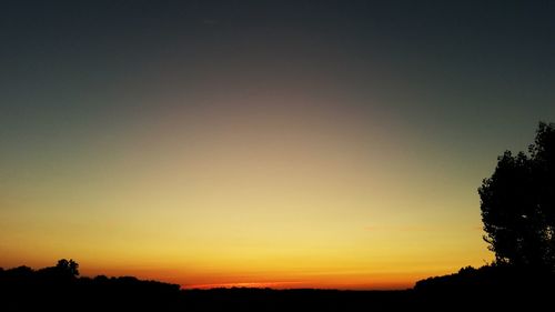 Silhouette of trees at sunset