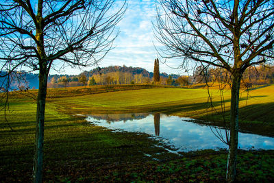 The plowed fields among the trees with fog in the early morning, vicenza, italy