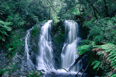 Scenic view of waterfall in forest